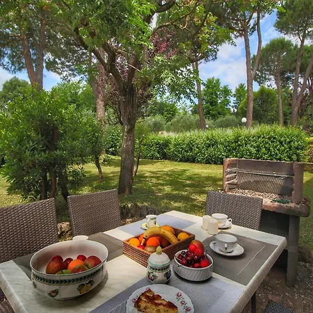 Vakantiehuis Cozy With Pool In Sienna Italy Siena